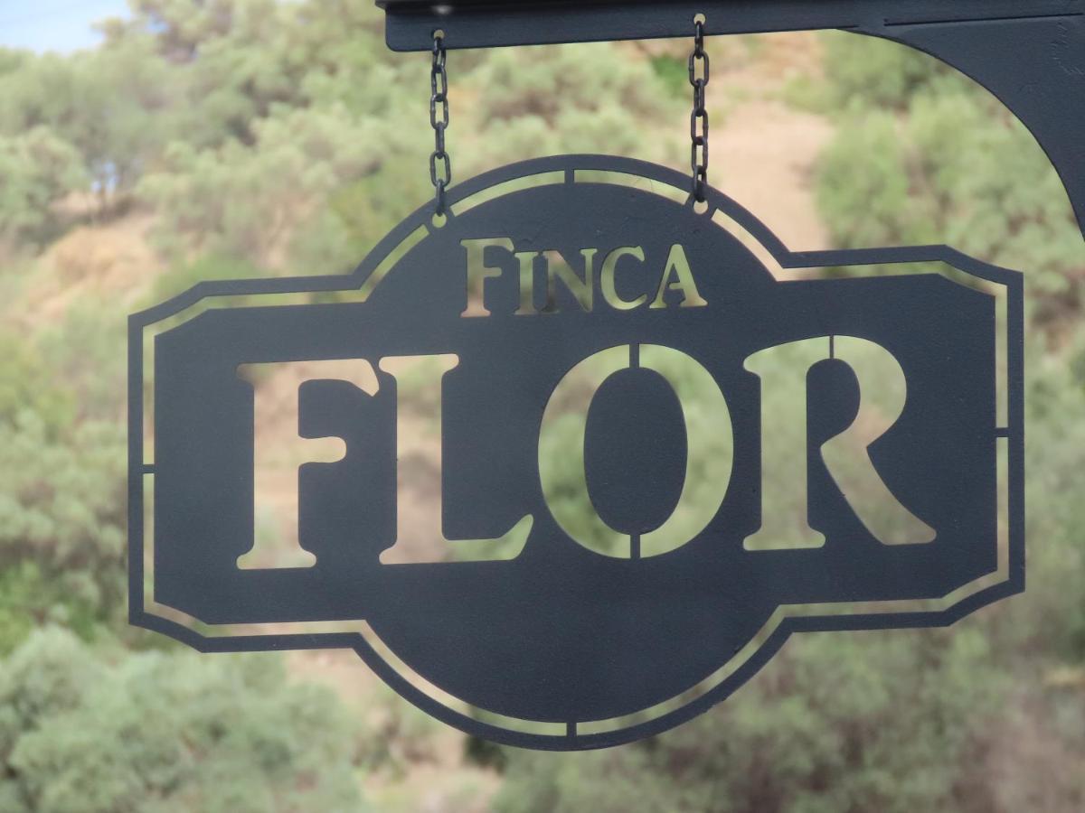Finca Flor Canillas de Albaida Buitenkant foto