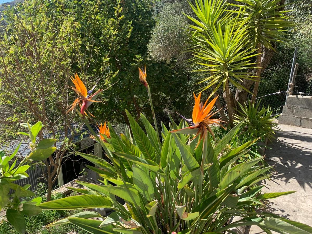 Finca Flor Canillas de Albaida Buitenkant foto