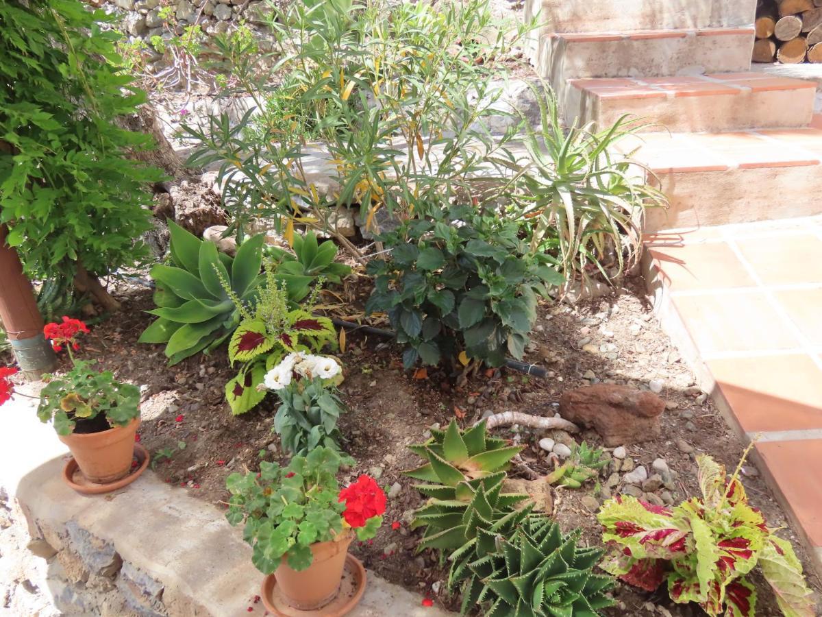 Finca Flor Canillas de Albaida Buitenkant foto
